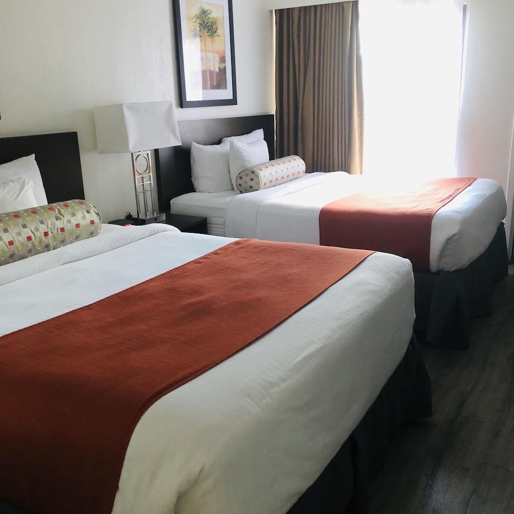 Hotel Baymont By Wyndham Tampa Near Busch Gardens Extérieur photo