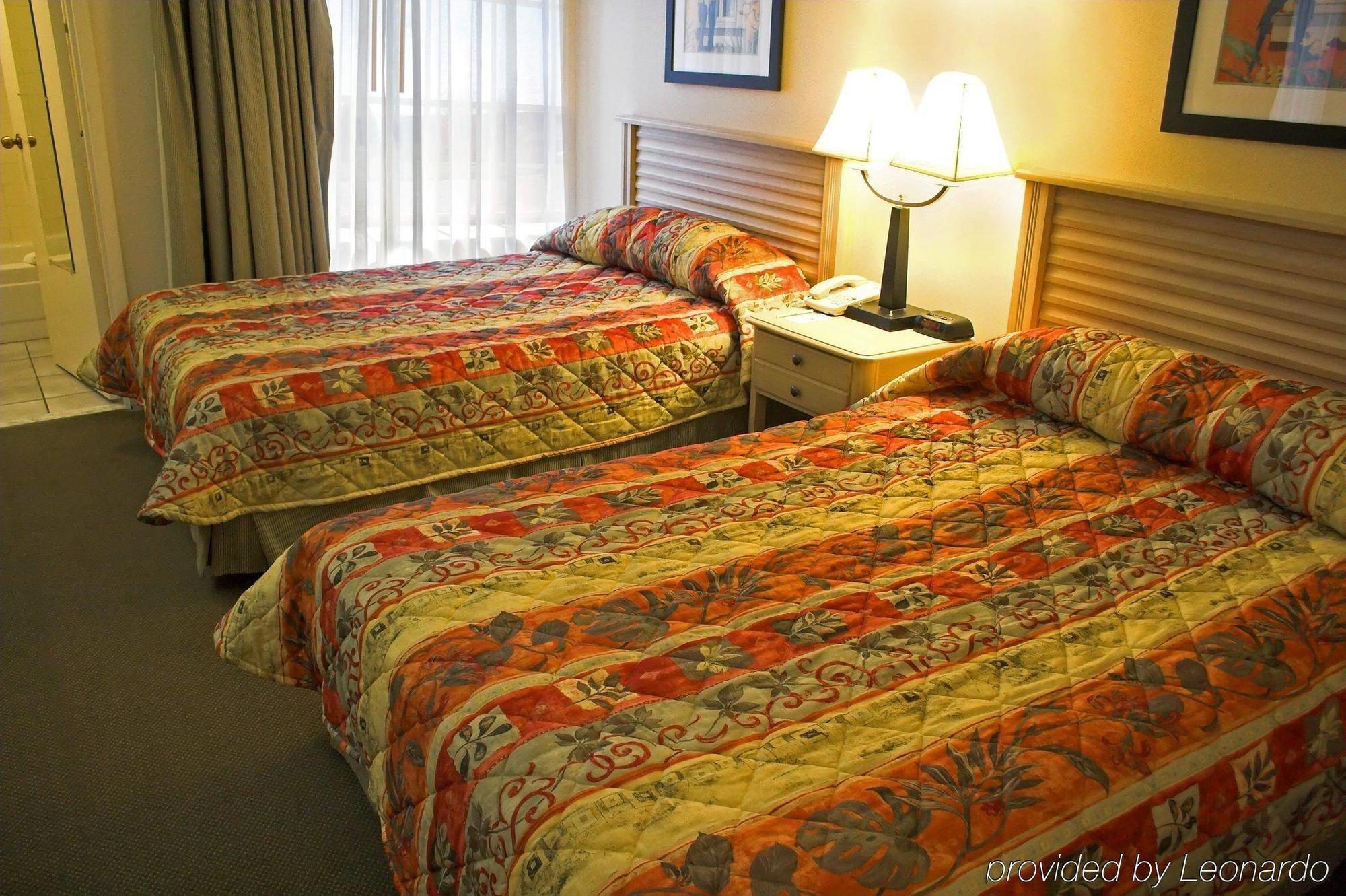 Hotel Baymont By Wyndham Tampa Near Busch Gardens Chambre photo