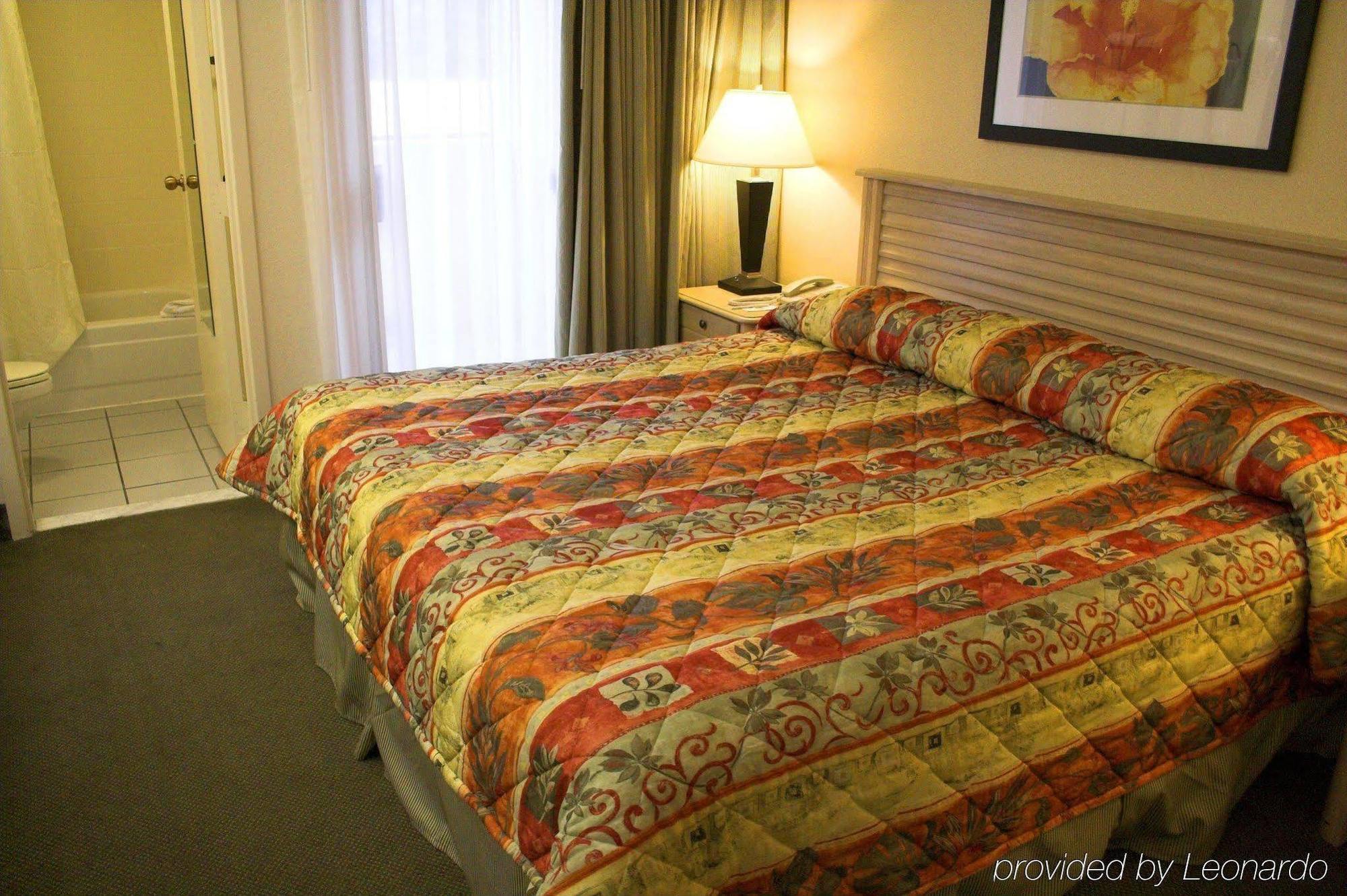 Hotel Baymont By Wyndham Tampa Near Busch Gardens Chambre photo